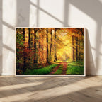 Sunlight Through Trees Wall Art Canvas Print | Autumn Forest Wall Art