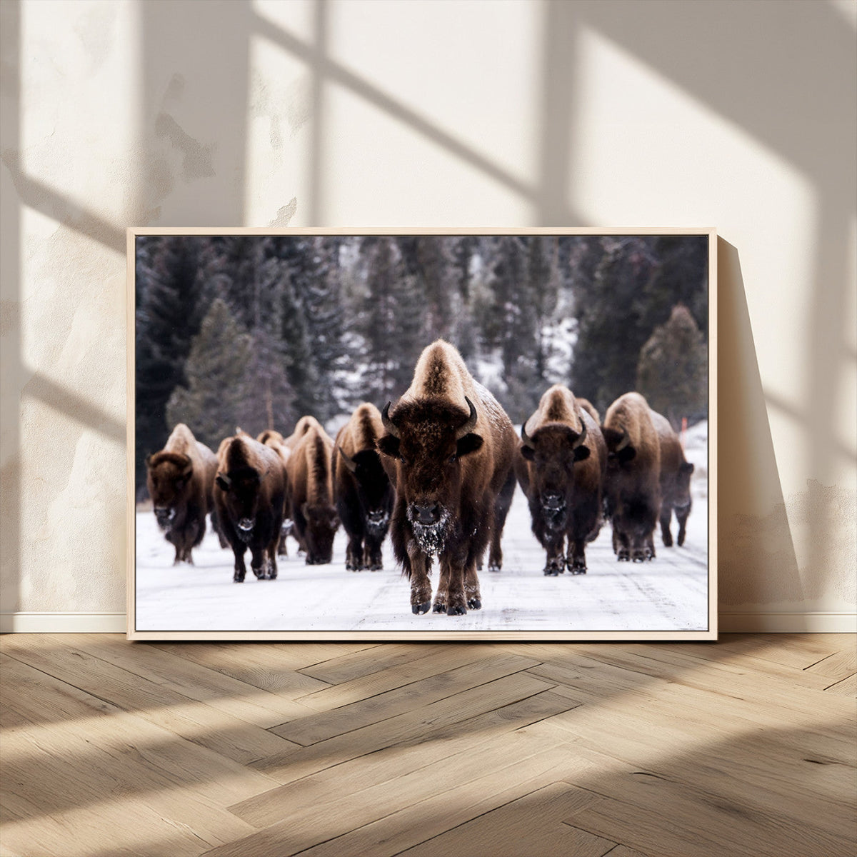 Bison Wall Art Canvas Print, Bison Herd Canvas Wall Art