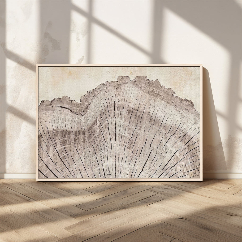 Tree Ring Wall Art Triptych, Rustic Wood Ring Canvas Print
