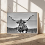 Texas Longhorn Cow Wall Art, Texas Longhorn Canvas, Cattle