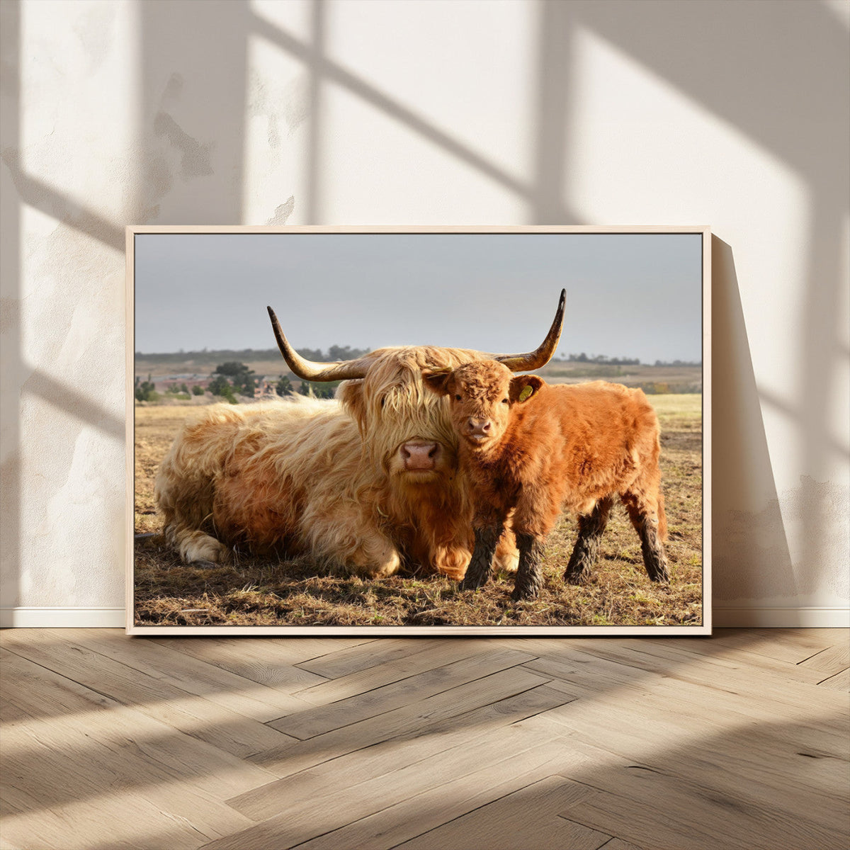 Highland Cow Canvas Wall Art Animal Print for Farm House Decor
