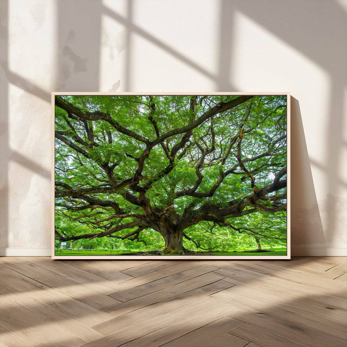 Ancient Tree Wall Art Canvas Print, Framed Sprawling Branches