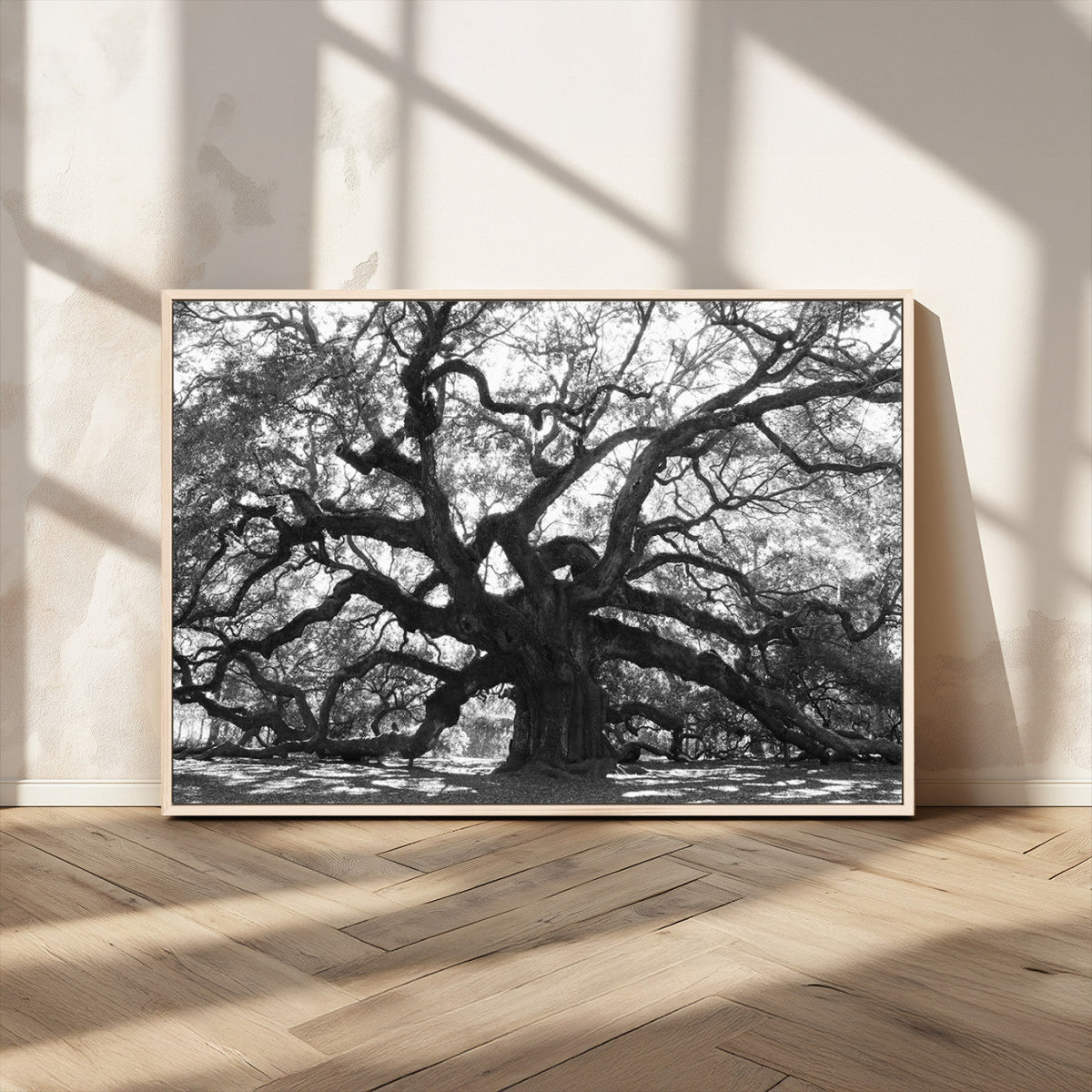 Ancient Oak Wall Art Canvas Print | Gnarled Tree with Twisted Branches