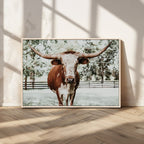 Texas Longhorn Wall Art Canvas Print | Framed Spotted Brown and White Bull