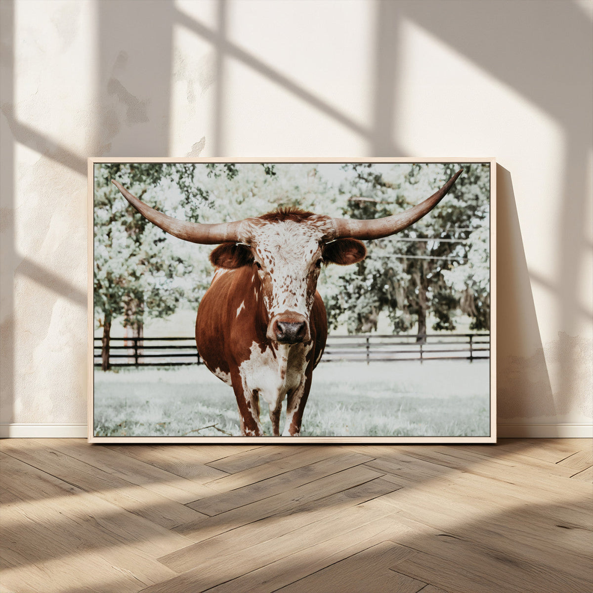 Texas Longhorn Wall Art Canvas Print | Framed Spotted Brown and White Bull