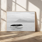 Whale Tail Wall Art | Framed Black White Ocean Canvas