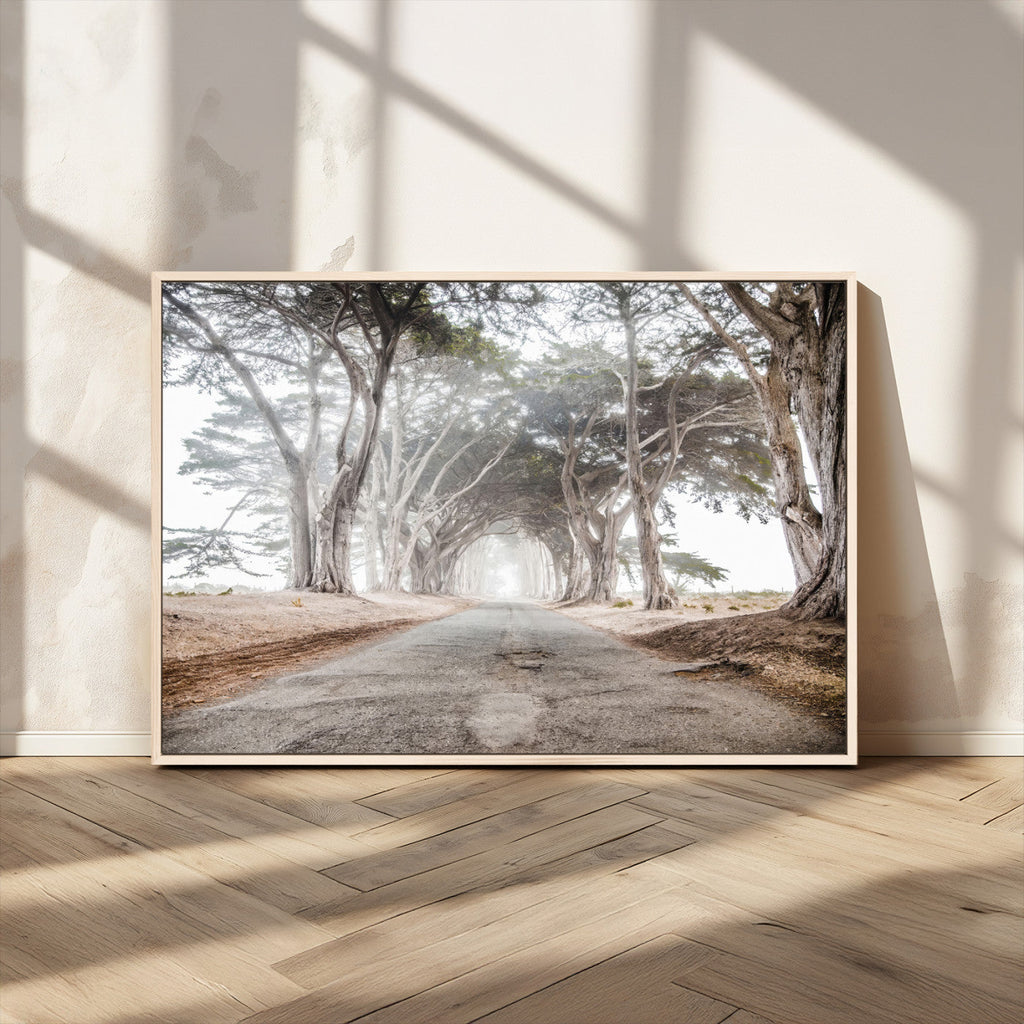Cypress Tunnel Wall Art | Framed Misty Road Canvas Artwork
