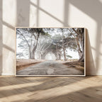 Cypress Tunnel Wall Art | Framed Misty Road Canvas Artwork