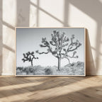 Joshua Tree Wall Art Canvas Print, Framed Black and White Desert Landscape Artwork
