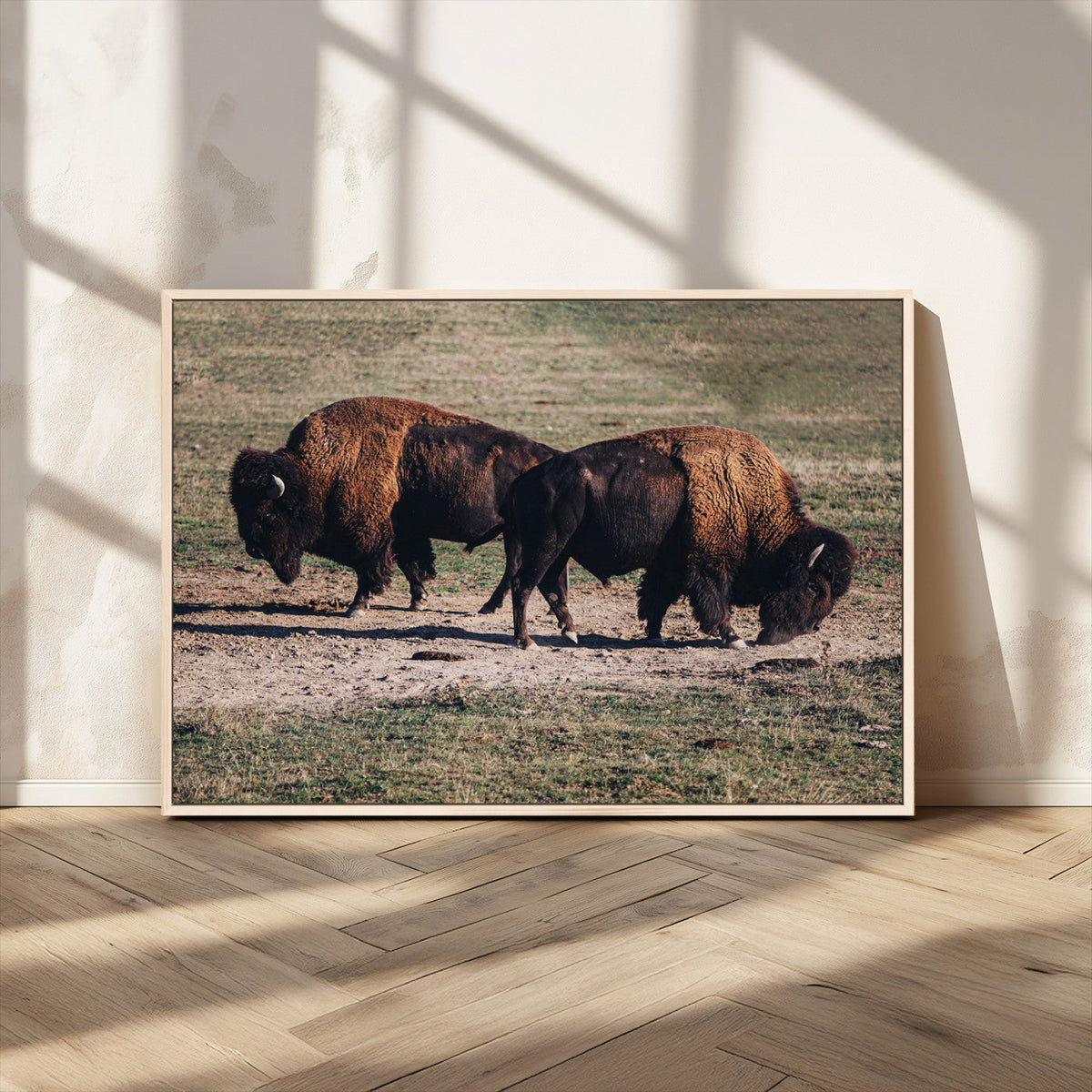 Bison Wall Art Canvas Print, Framed Western Wildlife Modern Ranch