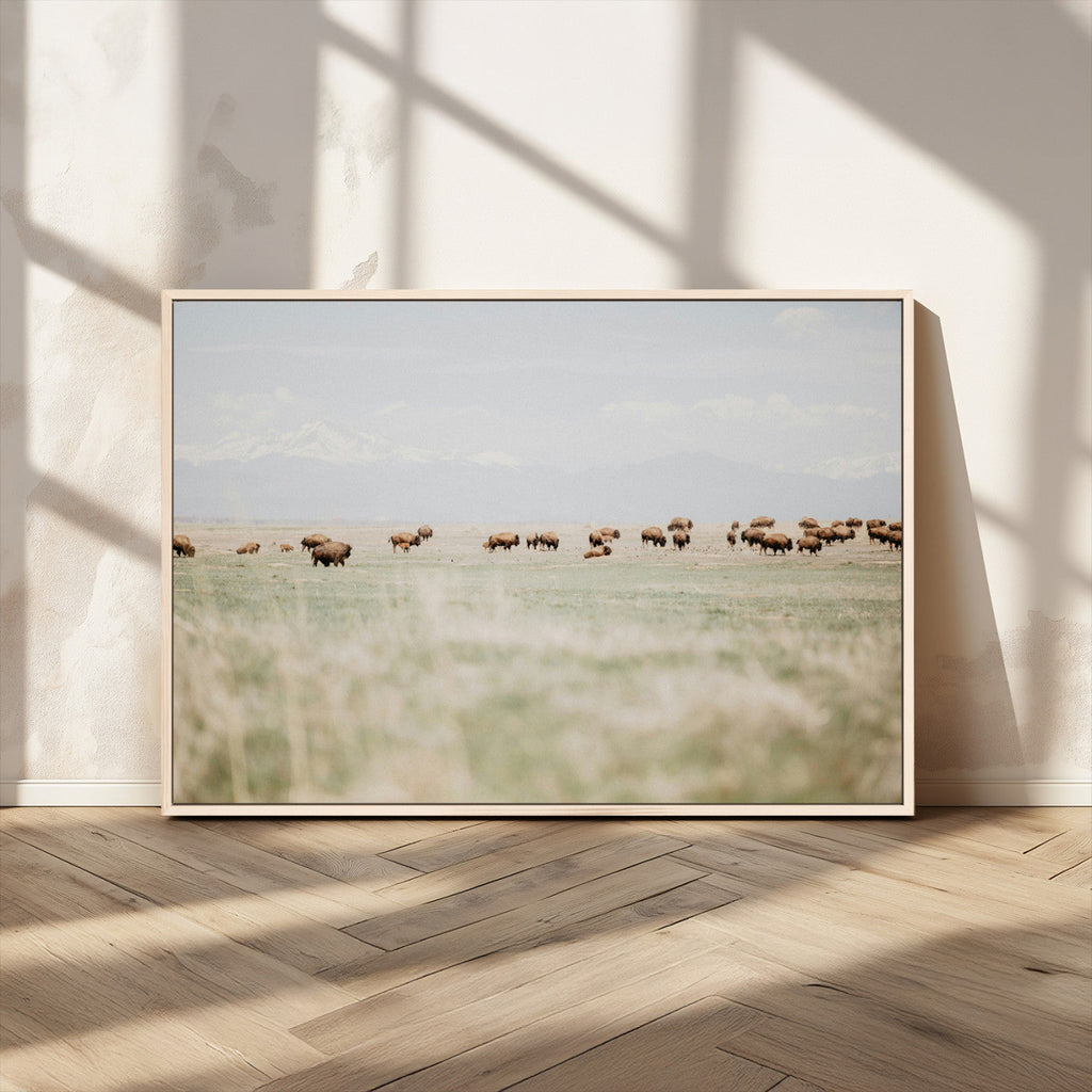 Bison Herd Wall Art Canvas Print, Framed Western Ranch Nature Scene