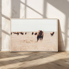 Bison Herd Wall Art Canvas Print, Framed Western Prairie Serenity