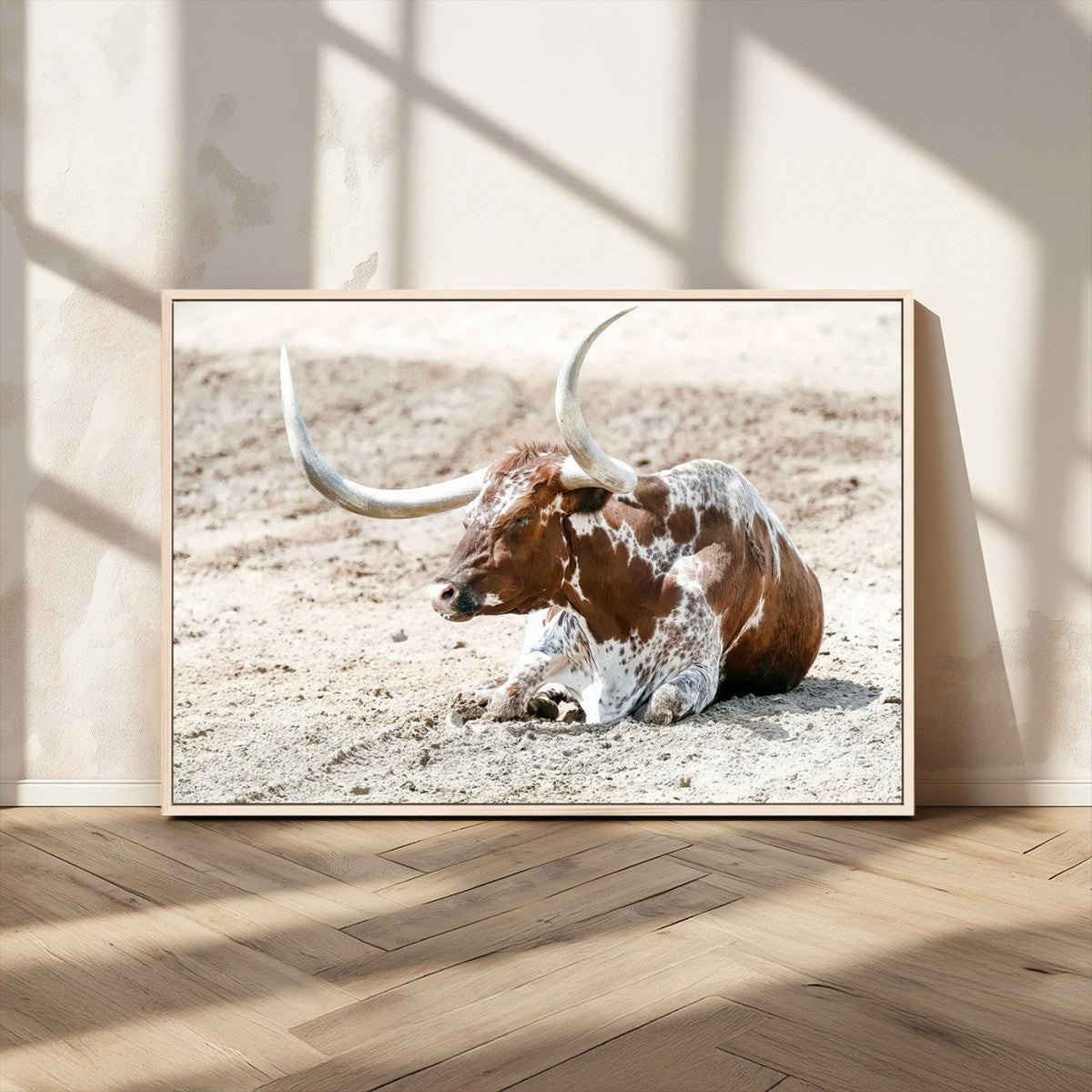 Majestic Longhorn Wall Art Canvas Print, Resting on Sunlit Desert Ground