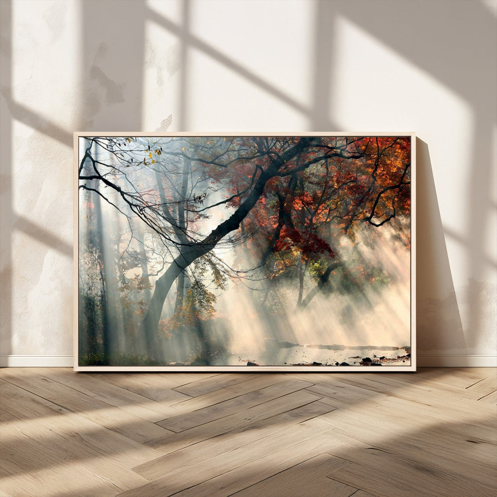 Sunlit Autumn Forest Wall Art Canvas Print