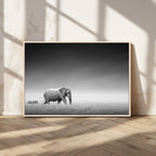 Elephant and Zebra Wall Art Canvas Print, Modern Artwork