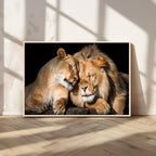 Lion and Lioness Wall Art Canvas Print | African Wildlife Animal Art
