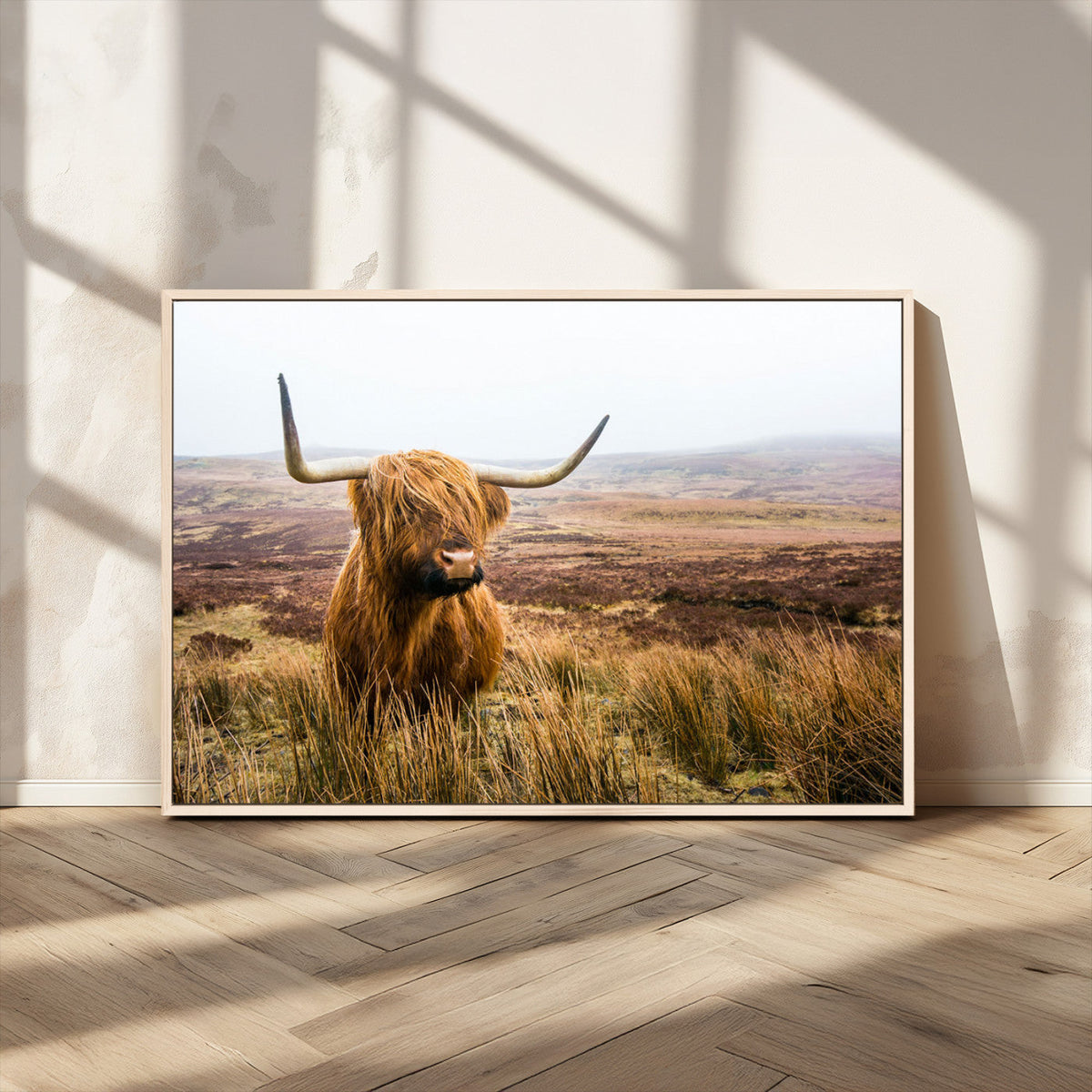 Scottish Highland Cow Canvas Wall Art, Rustic Farmhouse Decor