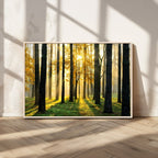 Sunlit Forest Wall Art Canvas Print, Large Framed Woodland Scene with Golden Light
