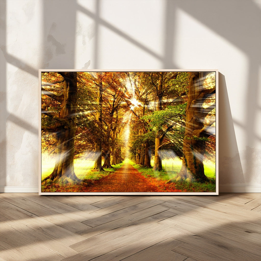 Sunshine in Forest and Trees Wall Art Canvas Print