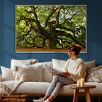 Angel Oak Tree Wall Art Canvas Print | Forest Tree Nature Photography Print