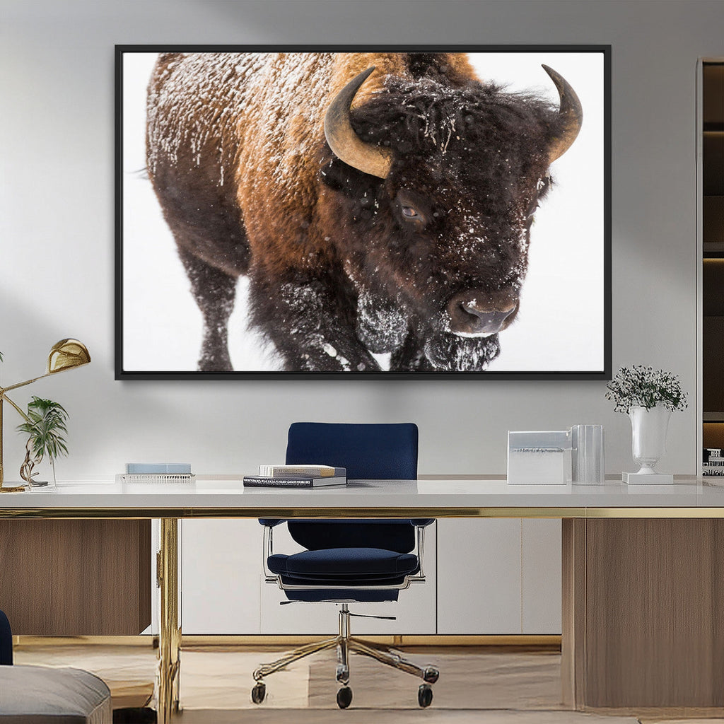 Bison Wall Art Canvas Print For Farmhouse, Wild Animal Wall Art