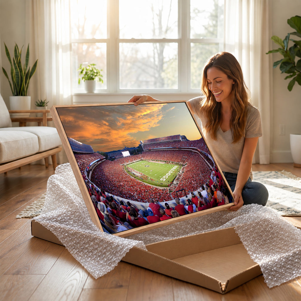 Dooley Stadium Wall Art, Sports Arena Canvas Print, Dooley Field, Framed and Ready to Hang