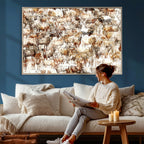 Farmhouse Bighorn Sheep Wall Art Canvas Print