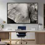Elephant Wall Art Canvas Print