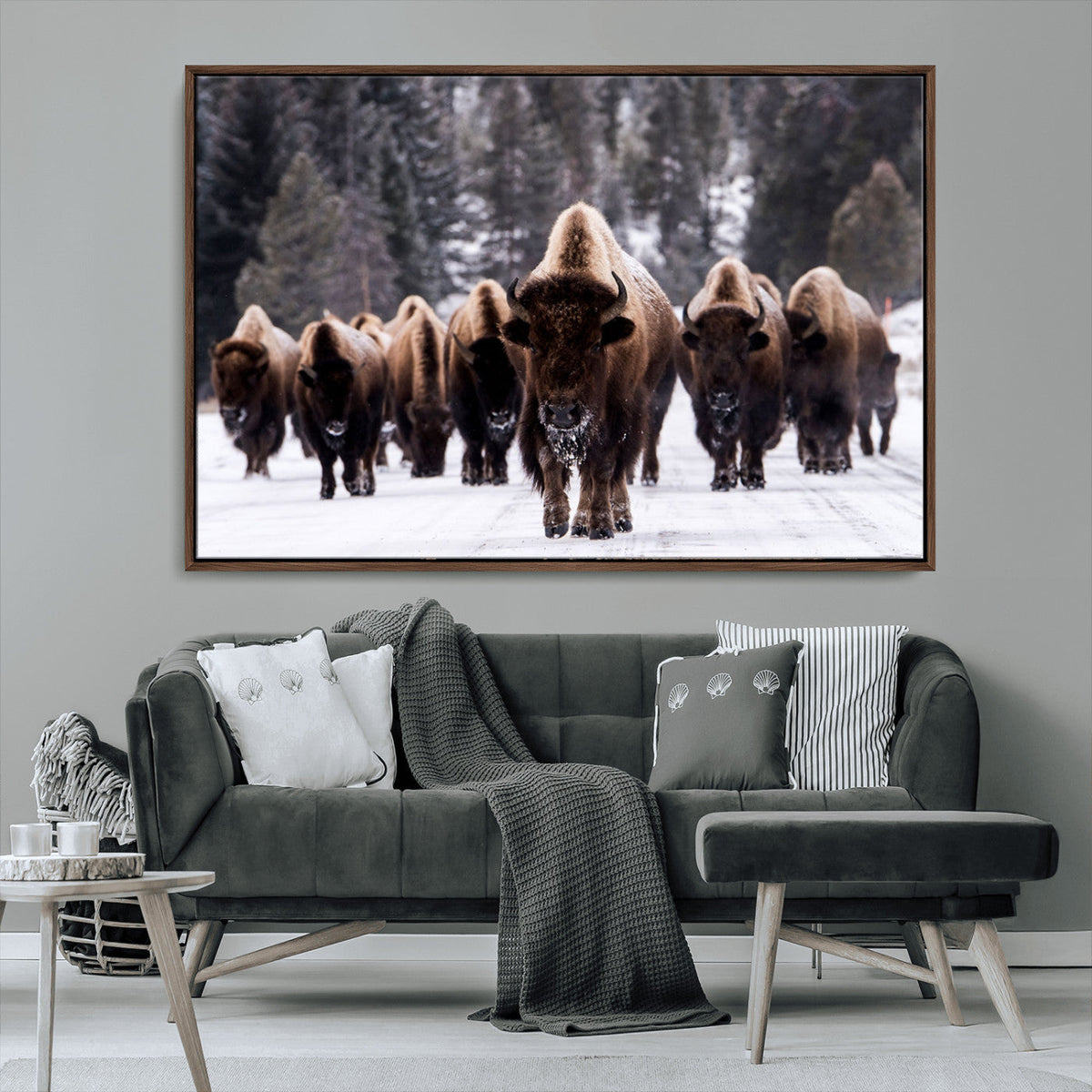 Bison Wall Art Canvas Print, Bison Herd Canvas Wall Art