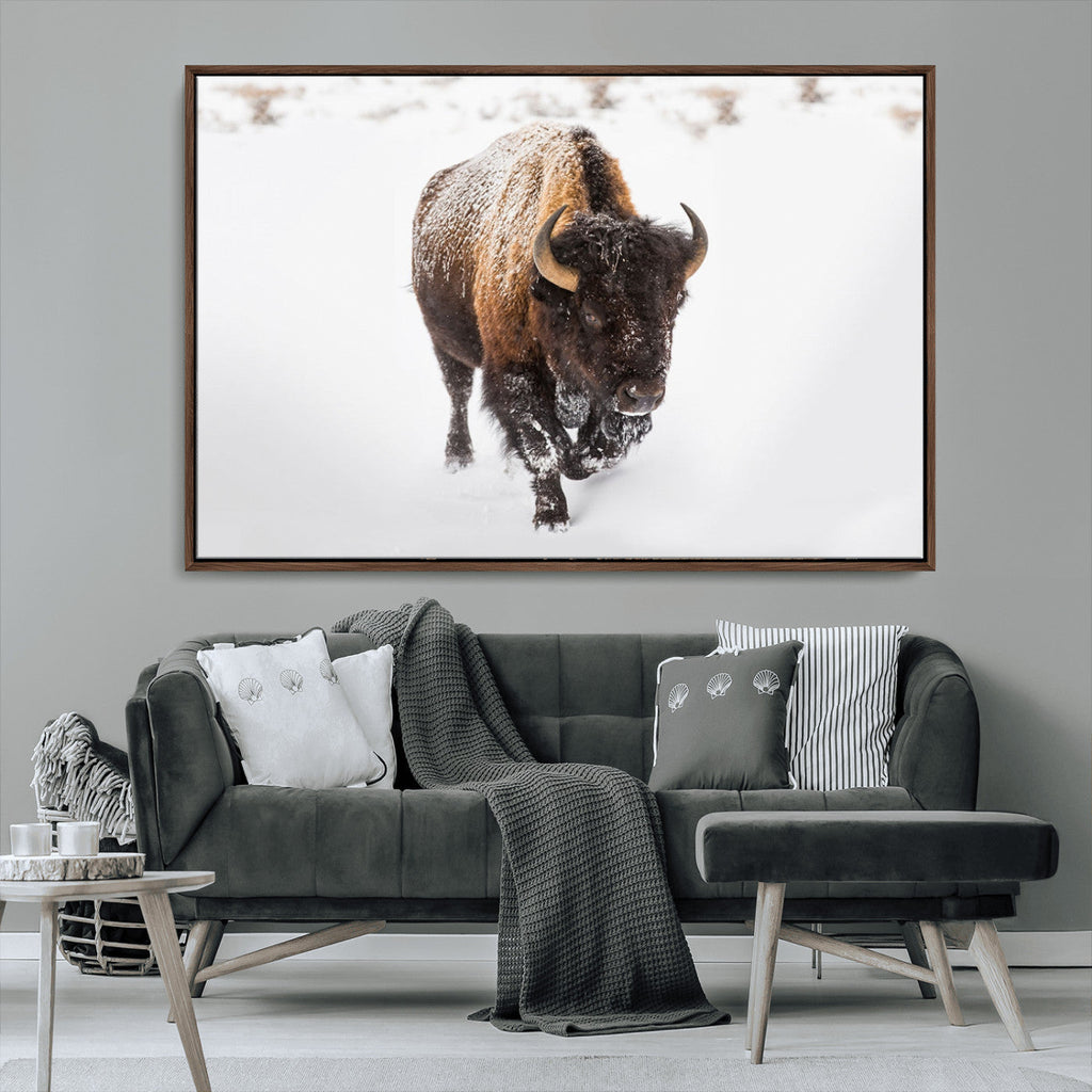 Bison Winter Wall Art Canvas Print For Farmhouse Decor