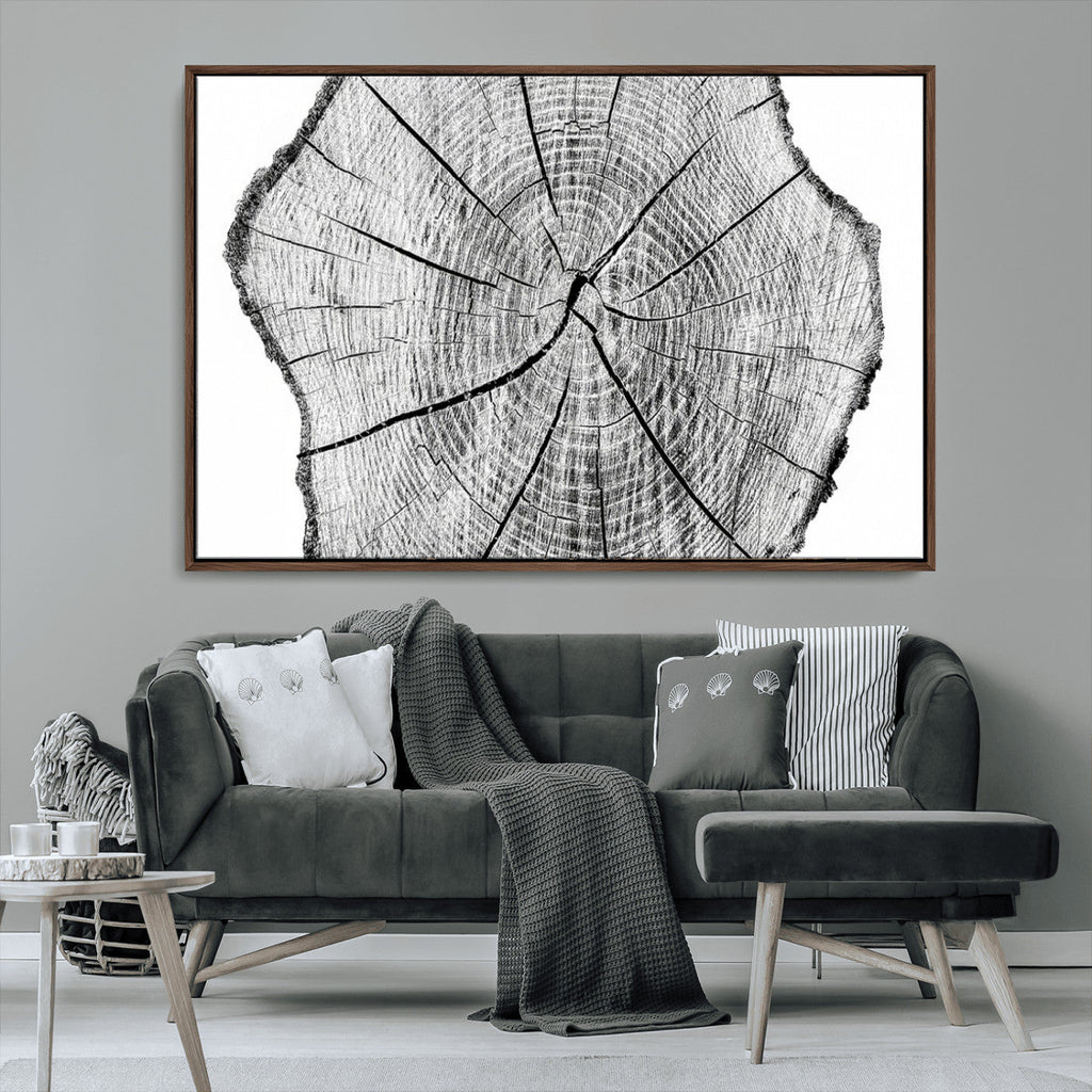 Rustic Tree Ring Wall Art Canvas Print, Framed and Ready to Hang