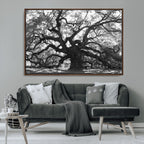 Ancient Oak Wall Art Canvas Print | Gnarled Tree with Twisted Branches