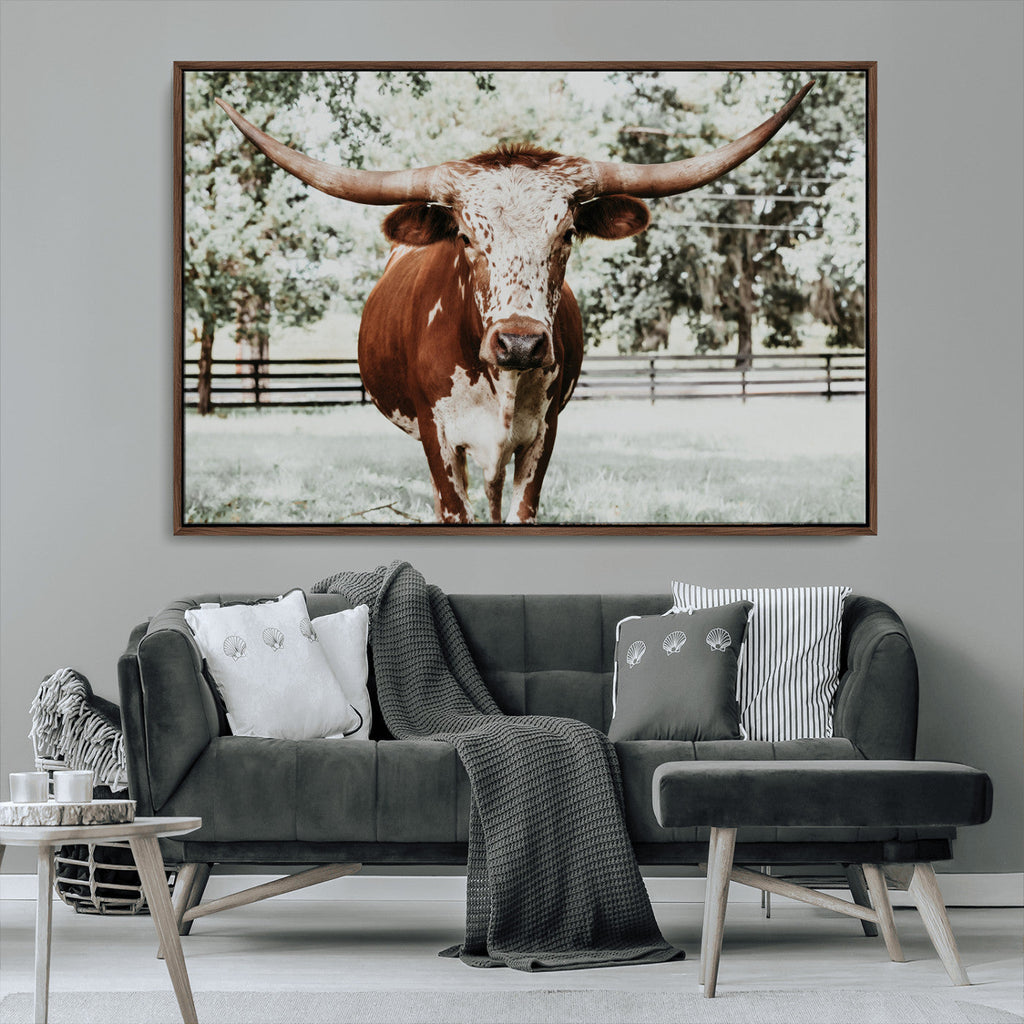 Texas Longhorn Wall Art Canvas Print | Framed Spotted Brown and White Bull