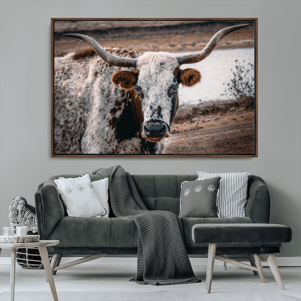 Texas Longhorn Wall Art Canvas Print | Framed Brown and White Spotted Longhorn