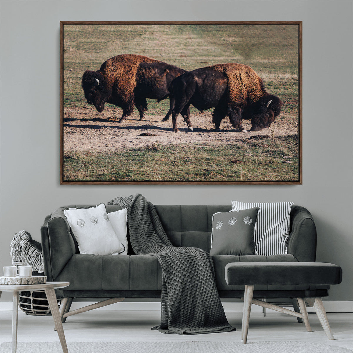 Bison Wall Art Canvas Print, Framed Western Wildlife Modern Ranch
