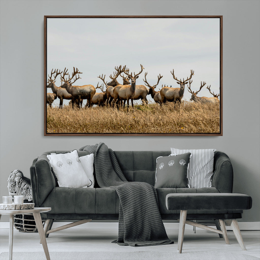 Elk Herd Wall Art Canvas Print, Framed Wildlife Photography Art, Majestic Antlers Rustic Wildlife Decor