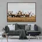 Elk Herd Wall Art Canvas Print, Framed Wildlife Photography Art, Majestic Antlers Rustic Wildlife Decor