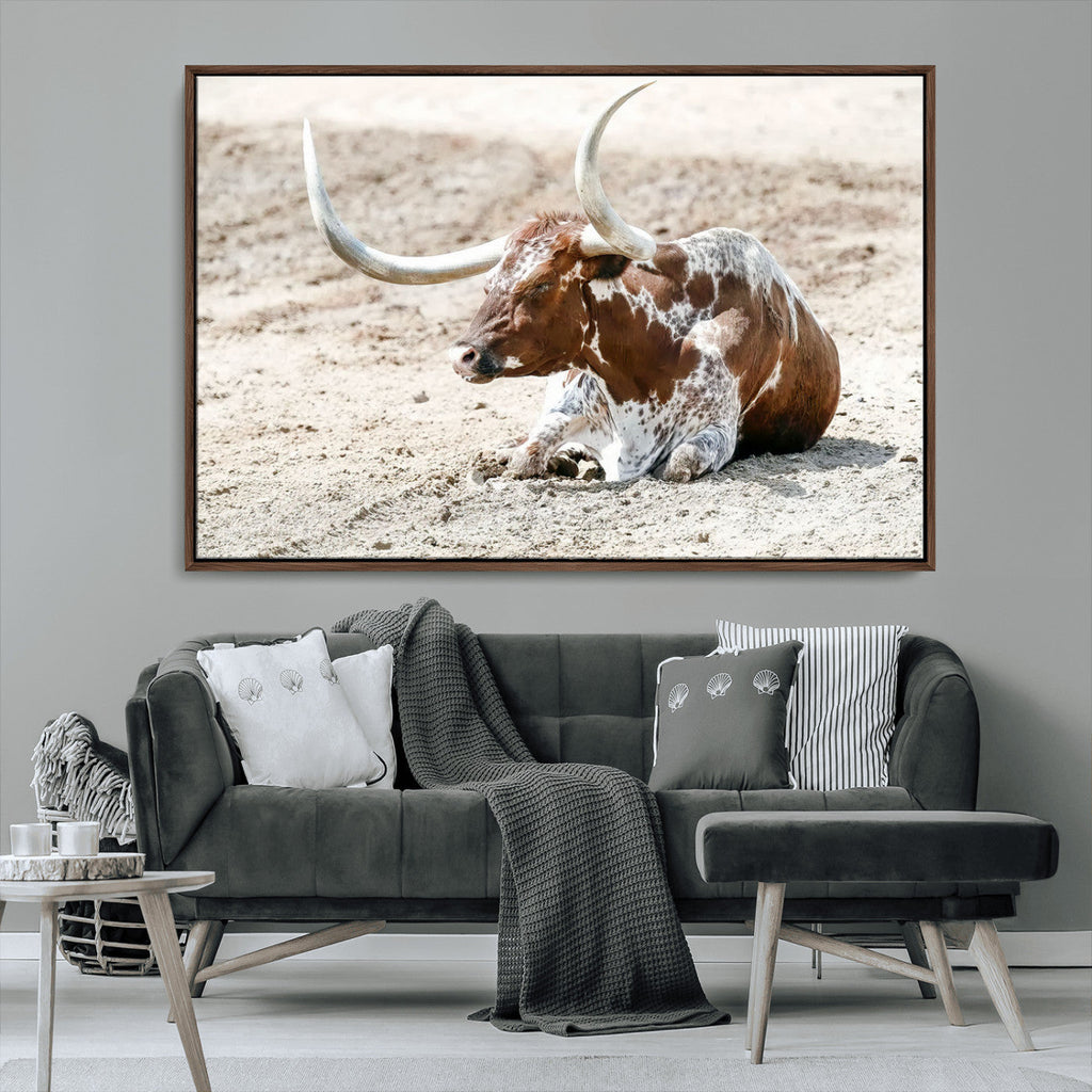 Majestic Longhorn Wall Art Canvas Print, Resting on Sunlit Desert Ground