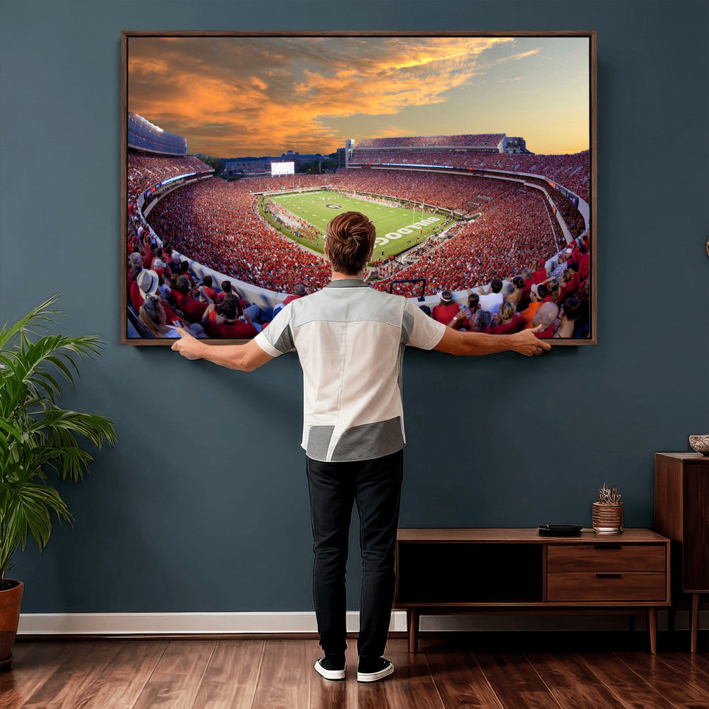 Dooley Stadium Wall Art, Sports Arena Canvas Print, Dooley Field, Framed and Ready to Hang