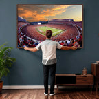 Dooley Stadium Wall Art, Sports Arena Canvas Print, Dooley Field, Framed and Ready to Hang
