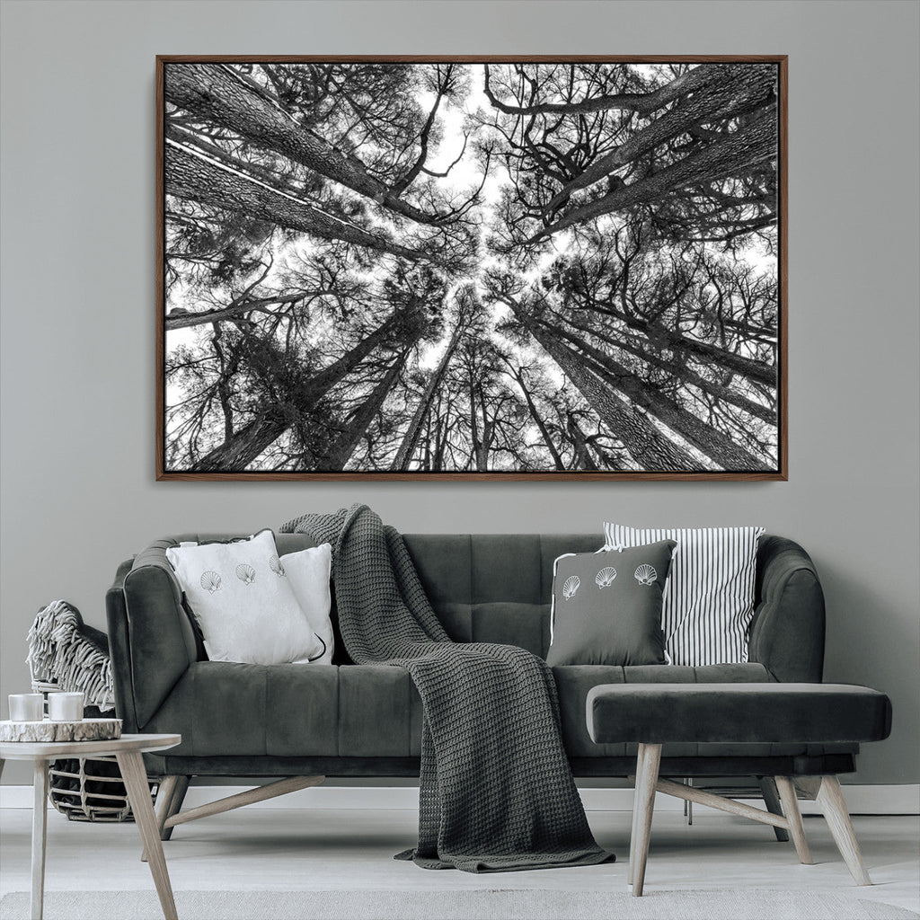 Trees Contemporary Art Canvas Print