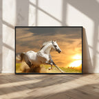 Large Wall Art Galloping White Horse at Sunset Canvas Print