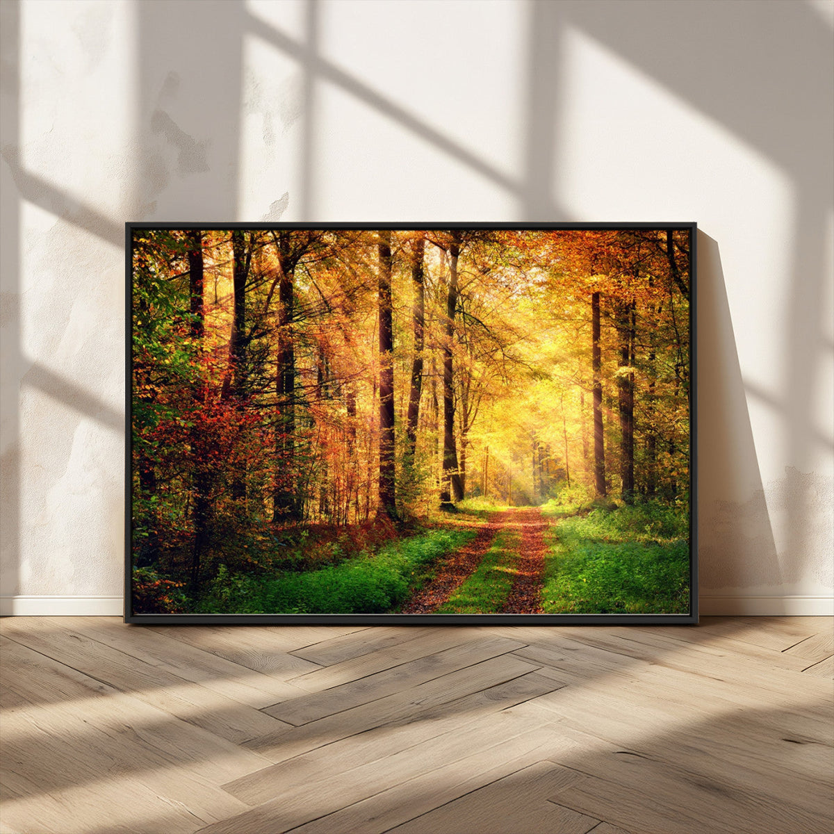 Sunlight Through Trees Wall Art Canvas Print | Autumn Forest Wall Art