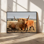 Highland Cow Canvas Wall Art Animal Print for Farm House Decor