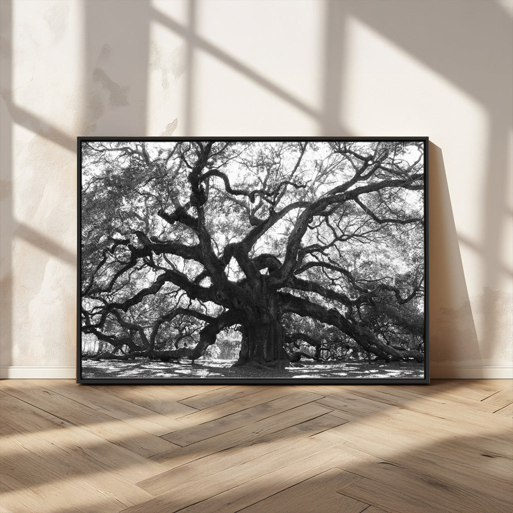 Ancient Oak Wall Art Canvas Print | Gnarled Tree with Twisted Branches