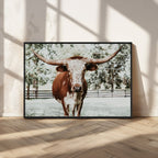 Texas Longhorn Wall Art Canvas Print | Framed Spotted Brown and White Bull