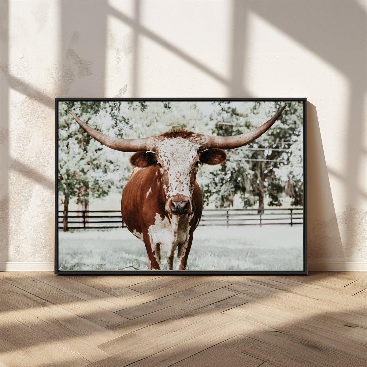 Texas Longhorn Wall Art Canvas Print | Framed Spotted Brown and White Bull