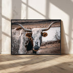 Texas Longhorn Wall Art Canvas Print | Framed Brown and White Spotted Longhorn