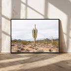 Saguaro Cactus Wall Art | Framed Desert Canvas Artwork