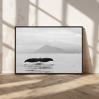 Whale Tail Wall Art | Framed Black White Ocean Canvas